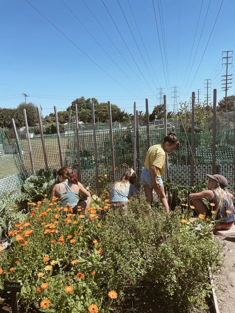Fall Garden Naturalists