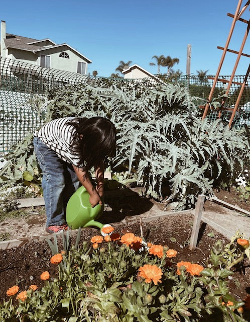 Flower + Herb Farming- Monthly Bundle