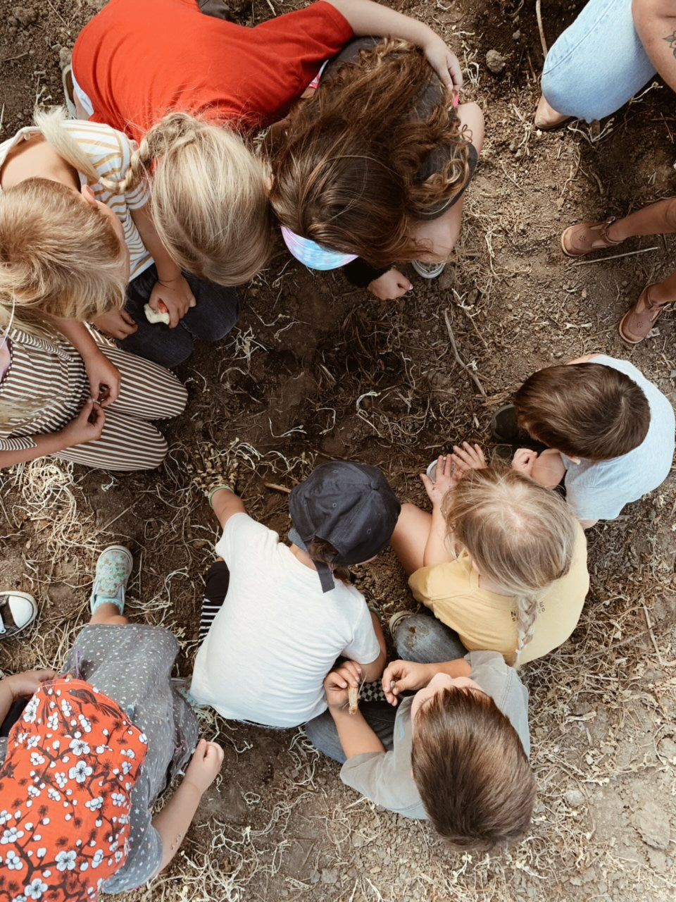 Fall Garden Naturalists