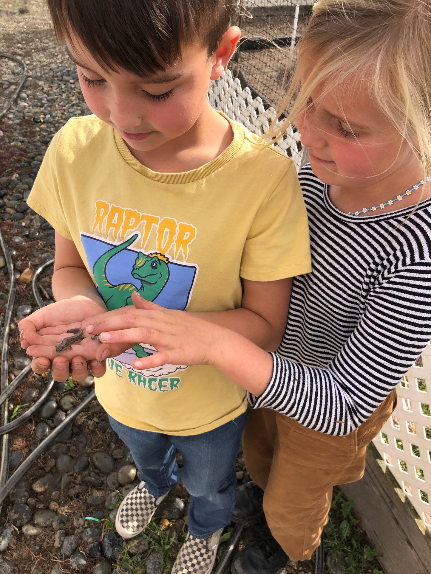 Fall Garden Naturalists