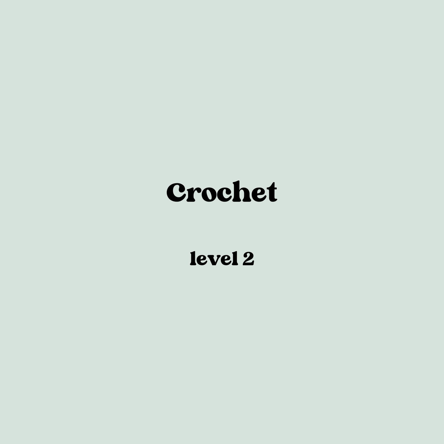 Crochet level 2 (Mondays)