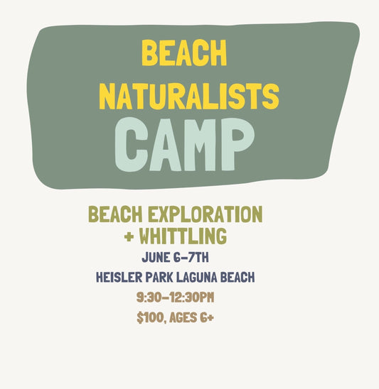 6/6-6/7 Beach Naturalists Camp